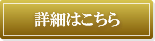 介護型タイプ