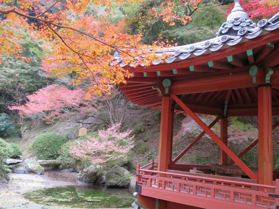 紅葉狩りへ!関連画像