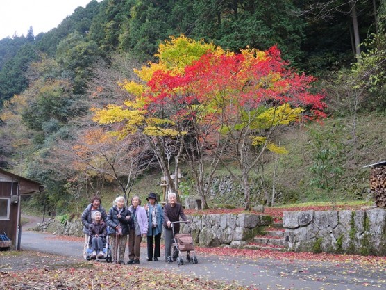 紅葉狩りへ！関連画像