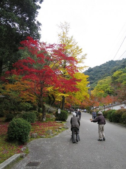 紅葉狩りへ！関連画像