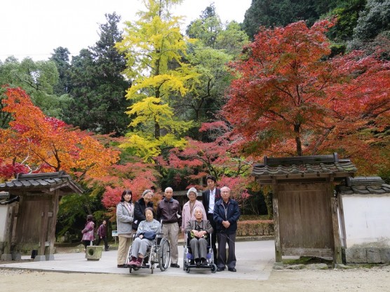 紅葉狩りへ！関連画像