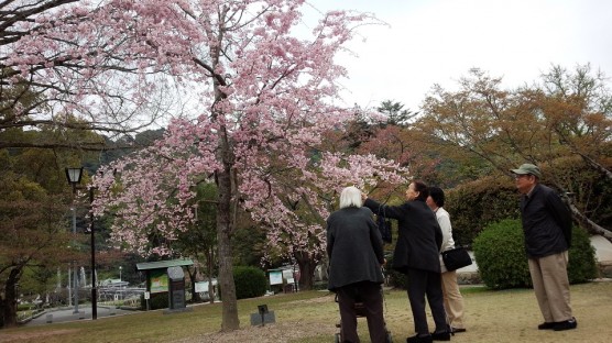 4月はイベントいっぱいでスタート関連画像