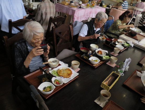 紫陽花見学ツアー関連画像